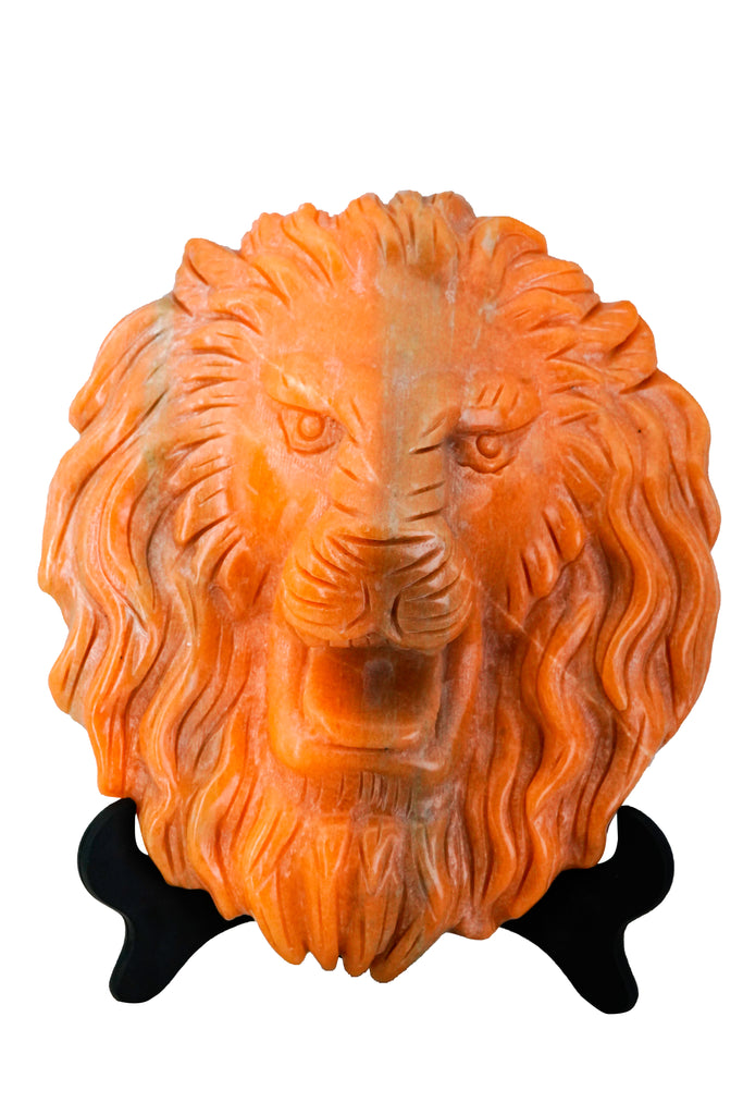 Lion head