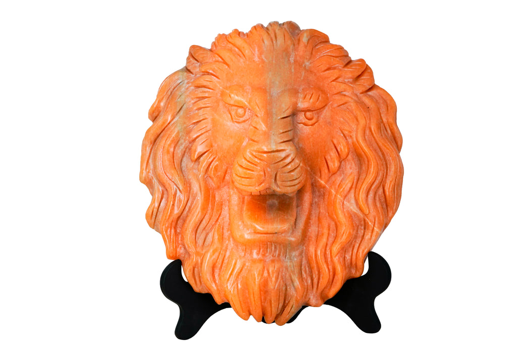 Lion head