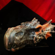 Load image into Gallery viewer, Crystal dragon head