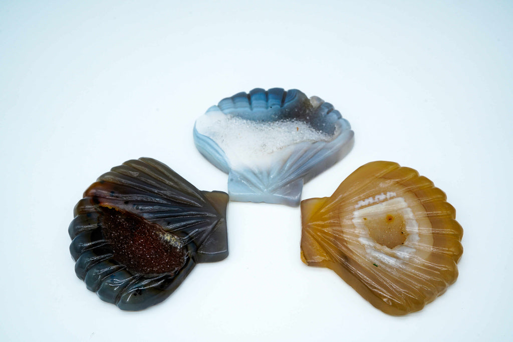 Agate crystal cave shells