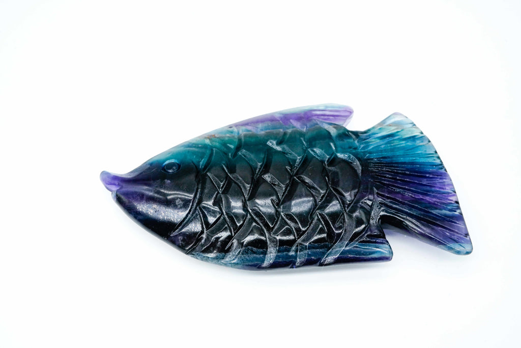 Fluorite fish