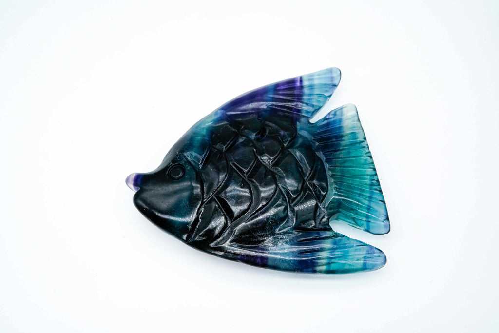 Fluorite fish